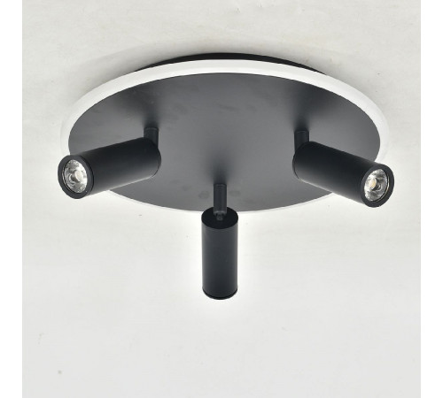 Потолочный светильник Escada 20046SMA/03LED BK Потолочный светильник Escada 20046SMA/03LED BK