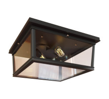 Потолочный светильник LOFT IT Modern filament Loft3110-2C