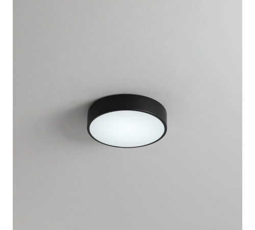 Потолочный светильник Zortes Tortty ZRS.02563.36