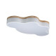 Потолочный светильник Loft IT AXEL 10005/36 White