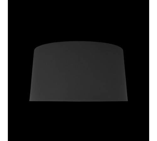 Потолочный светильник Loft IT Duo 10360M Grey Потолочный светильник Loft IT Duo 10360M Grey