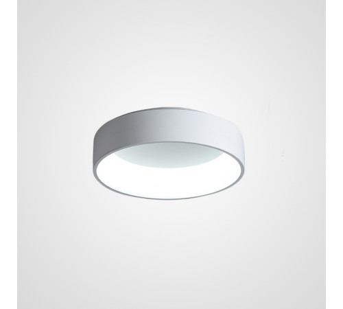 Потолочный светильник ImperiumLoft Tray 102137-26 Потолочный светильник ImperiumLoft Tray 102137-26
