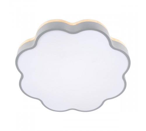 Потолочный светильник Loft IT Axel 10225/36 Grey