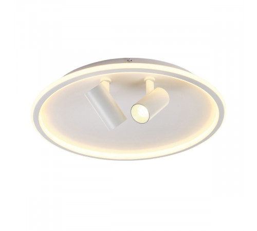 Потолочный светильник Myfar Focus MR9050-CL Потолочный светильник Myfar Focus MR9050-CL