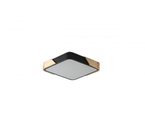 Потолочный светильник Zortes Alberro ZRS.01281.36 Потолочный светильник Zortes Alberro ZRS.01281.36