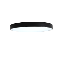 Потолочный светильник Zortes Tortty ZRS.02563.96