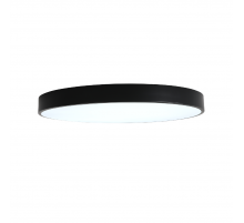 Потолочный светильник Zortes Tortty ZRS.02563.96