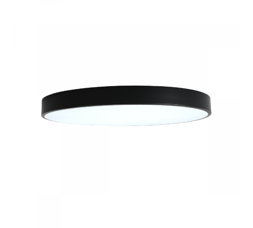 Потолочный светильник Zortes Tortty ZRS.02563.96 Потолочный светильник Zortes Tortty ZRS.02563.96