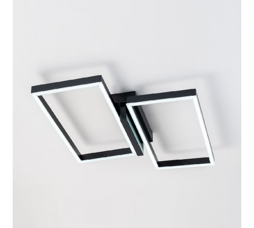 Потолочный светильник Escada Scales 10209/2LED Black Потолочный светильник Escada Scales 10209/2LED Black
