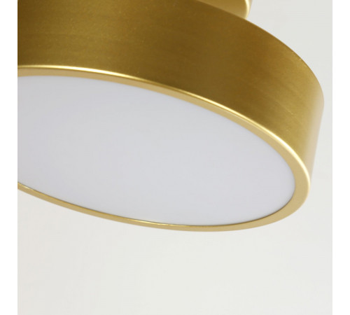Потолочный светильник F-Promo Atma 3059-2P Потолочный светильник F-Promo Atma 3059-2P