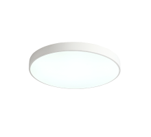 Потолочный светильник Zortes Tortty ZRS.02564.96