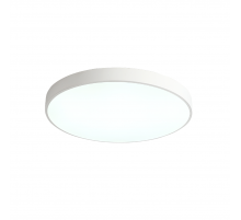 Потолочный светильник Zortes Tortty ZRS.02564.96