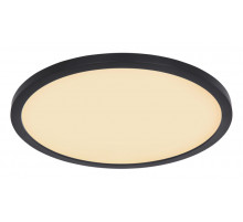 Потолочный светильник Globo Sapana 41562-24B