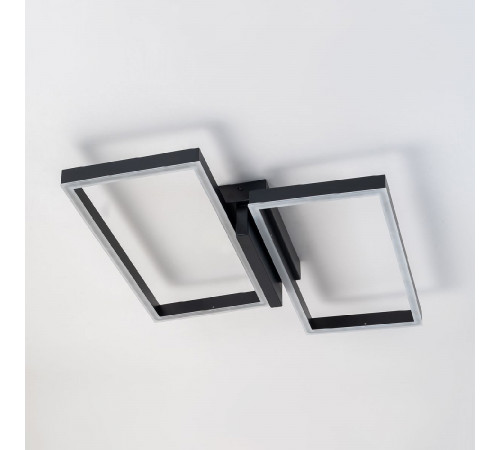 Потолочный светильник Escada Scales 10209/2LED Black Потолочный светильник Escada Scales 10209/2LED Black