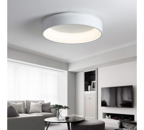 Потолочный светильник ImperiumLoft Tray 102137-26 Потолочный светильник ImperiumLoft Tray 102137-26