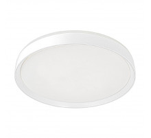Потолочный светильник Citilux Boss CL751450G