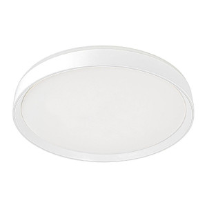 Потолочный светильник Citilux Boss CL751450G
