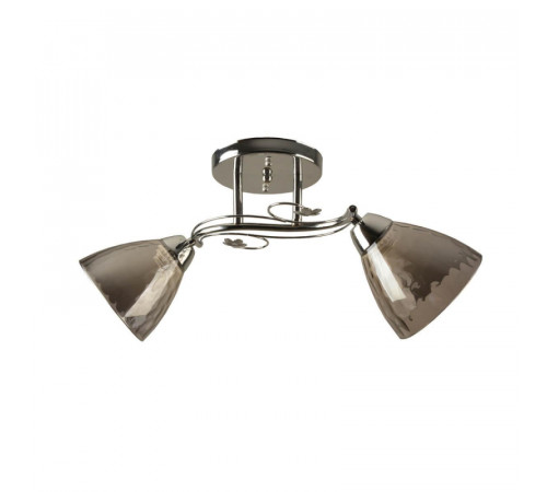 Потолочный светильник Hiper Gandy H195-2 Потолочный светильник Hiper Gandy H195-2