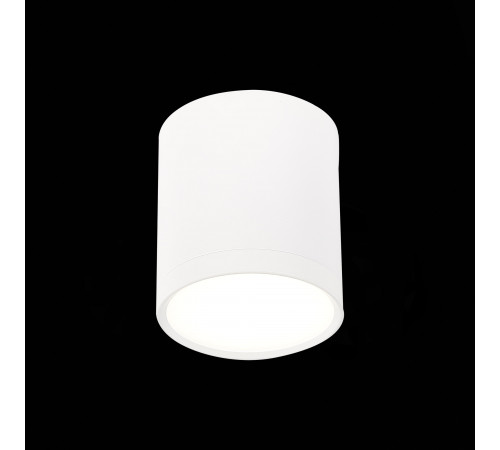 Потолочный светильник ST Luce Rene ST113.542.05