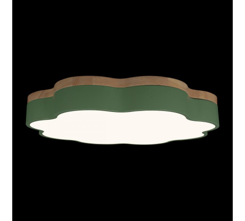 Потолочный светильник Loft IT Axel 10225/36 Green