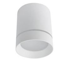 Потолочный светодиодный светильник Arte Lamp A1909PL-1WH