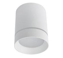 Потолочный светодиодный светильник Arte Lamp A1909PL-1WH
