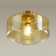 Потолочный светильник Odeon Light BINGA 4747/1C