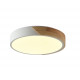 Потолочный светильник Zortes Alberro ZRS.01239.90