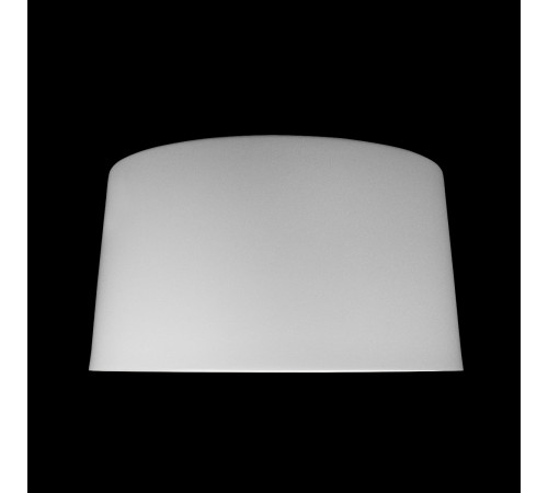 Потолочный светильник Loft IT Duo 10360L White Потолочный светильник Loft IT Duo 10360L White