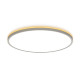 Потолочный светильник Citilux Norma CL748500