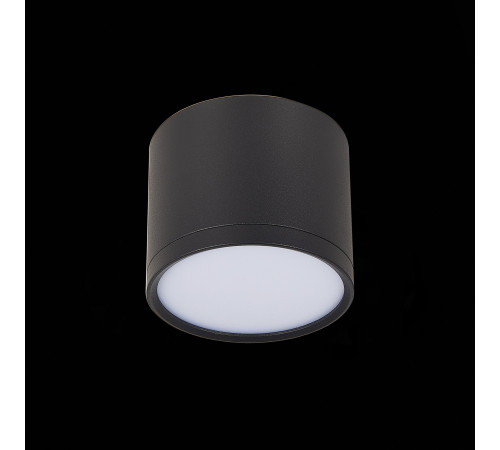 Потолочный светильник ST Luce Rene ST113.442.09 Потолочный светильник ST Luce Rene ST113.442.09