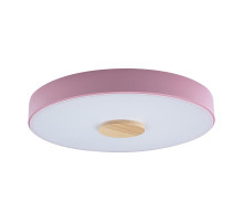 Потолочный светильник Loft IT AXEL 10003/24 Pink