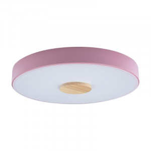 Потолочный светильник Loft IT AXEL 10003/24 Pink