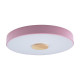 Потолочный светильник Loft IT AXEL 10003/24 Pink