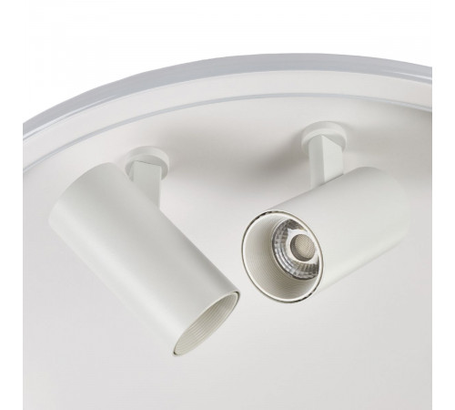 Потолочный светильник Myfar Focus MR9050-CL Потолочный светильник Myfar Focus MR9050-CL