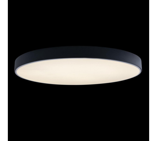 Потолочный светильник Loft IT AXEL 10002/48 Black Потолочный светильник Loft IT AXEL 10002/48 Black