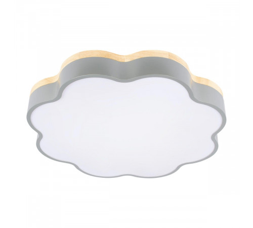 Потолочный светильник Loft IT Axel 10225/36 Grey