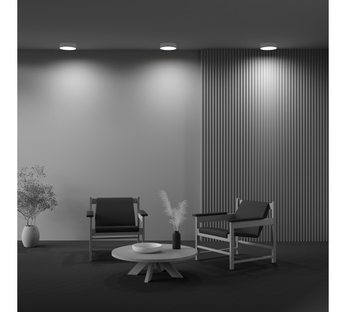 Потолочный светильник Maytoni Technical Ceiling Zon C032CL-24W4K-RD-MG