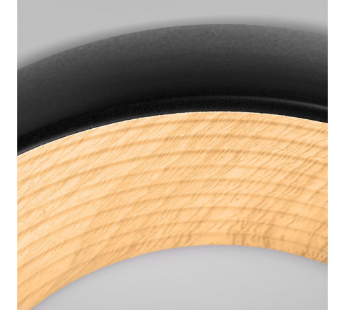 Потолочный светильник Loft IT Folk 10255/350 Black Потолочный светильник Loft IT Folk 10255/350 Black