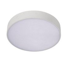 Потолочный светильник Aployt Evon APL.0113.09.24