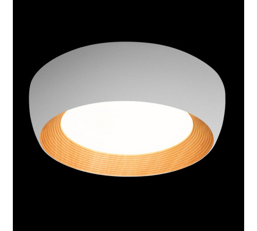 Потолочный светильник Loft IT Folk 10255/500 White Потолочный светильник Loft IT Folk 10255/500 White