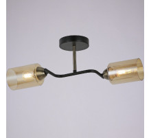 Потолочный светильник Illumico IL8148-2COU-79 BK BR Bice