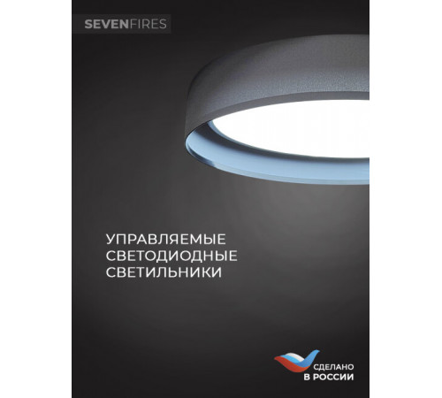 Потолочный светильник Seven Fires Лагом 48203.40.72.77BK-BK Потолочный светильник Seven Fires Лагом 48203.40.72.77BK-BK