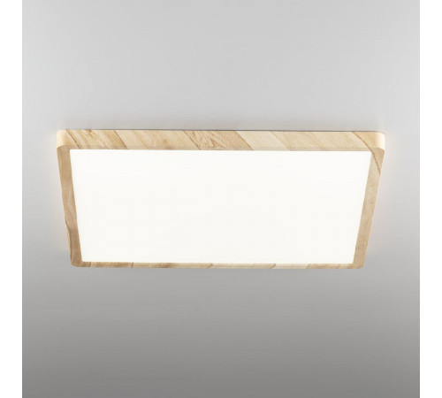 Потолочный светильник Citilux Бейсик CL738K502V