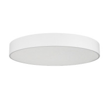 Потолочный светильник Arlight SP-TOR-PILL-PRISM-R800-94W Day4000 (WH, 100 deg, 230V) 022133(4)