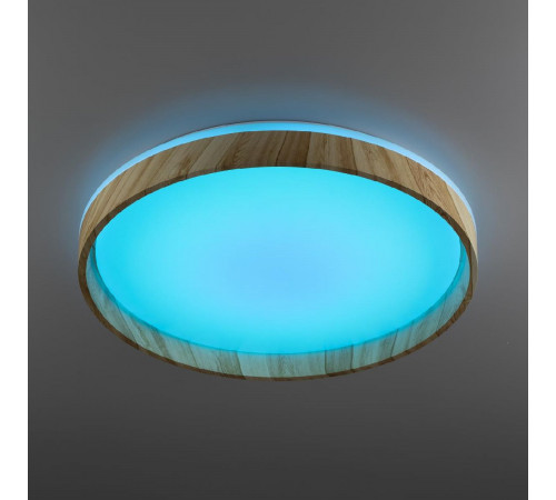 Потолочный светильник Citilux Enzo CL753452G Потолочный светильник Citilux Enzo CL753452G