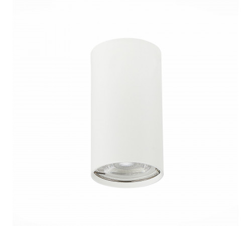Потолочный светильник ST LUCE ST110.507.01 Потолочный светильник ST LUCE ST110.507.01
