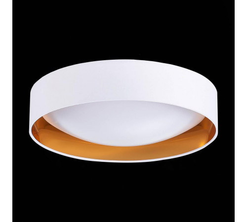 Потолочный светодиодный светильник Evoluce Orbio SLE201122-01