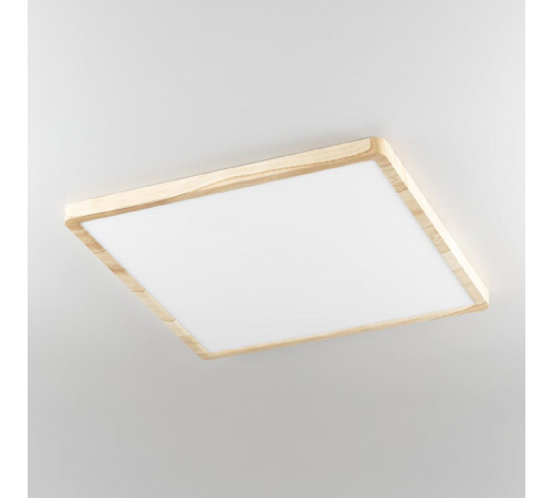 Потолочный светильник Citilux Бейсик CL738K502V