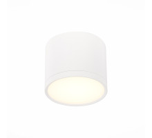 Потолочный светильник ST Luce Rene ST113.532.09